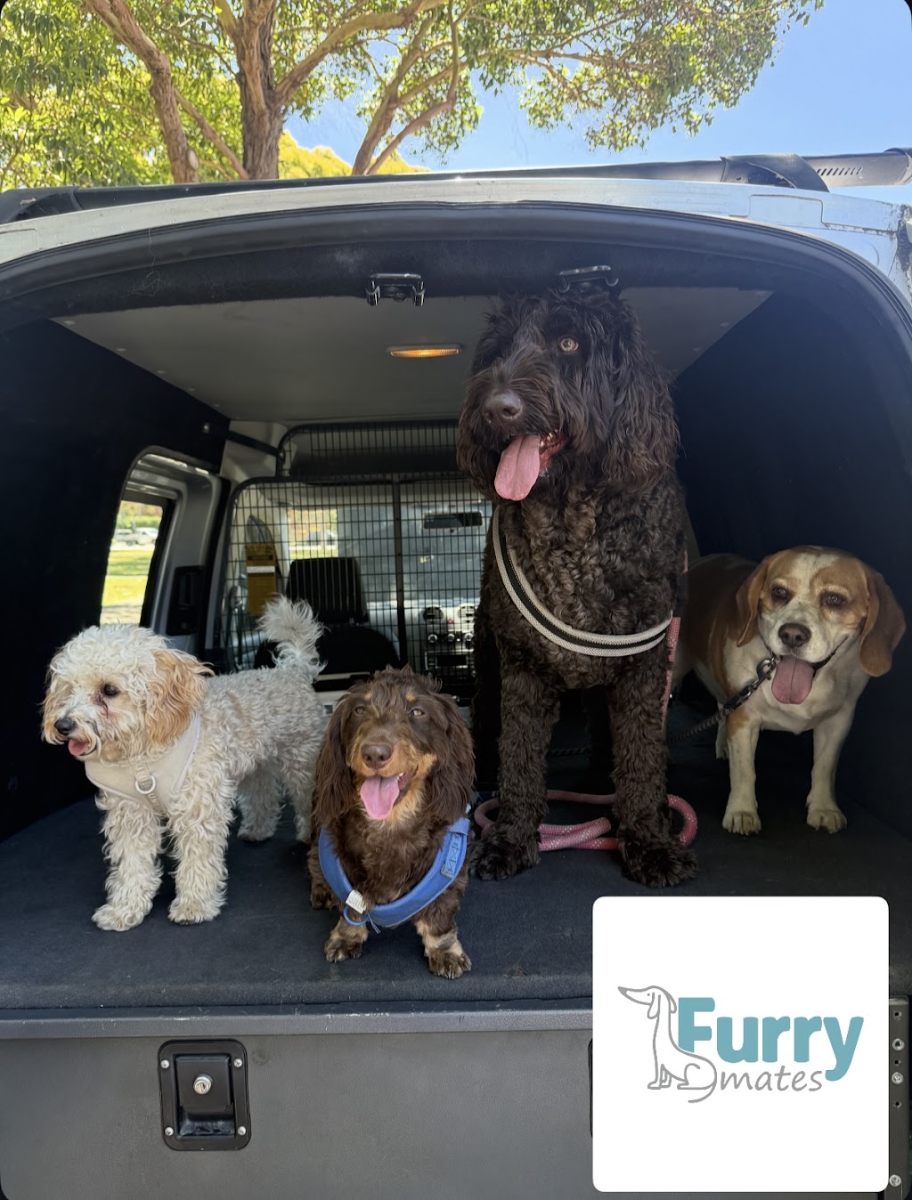 Furry Mates | 9/10 Elonera St, Rydalmere NSW 2116, Australia | Phone: 0470 696 257