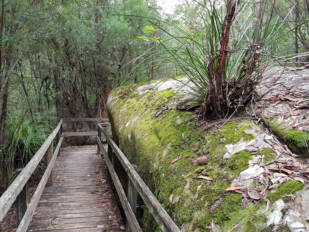 Girrakool Loop Track | tourist attraction | Woy Woy Rd, Kariong NSW 2250, Australia | 0243204200 OR +61 2 4320 4200