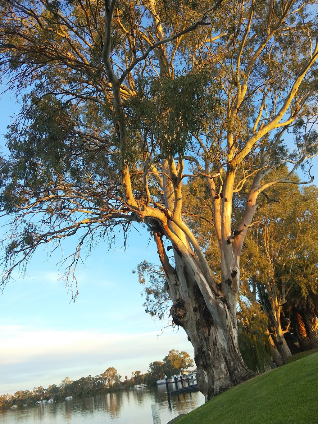 Renmark Rowing Club | Renmark SA 5341, Australia | Phone: 0490 071 626