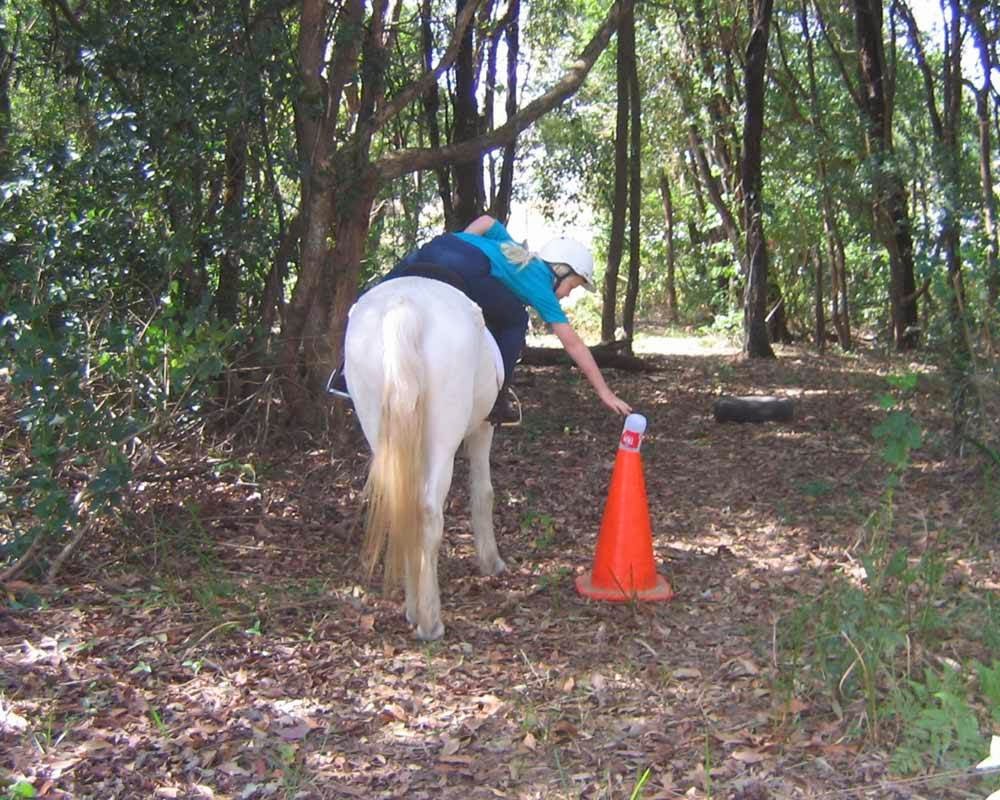 Cooroy Horse and Pony Club | travel agency | 17 Mary River Rd, Cooroy QLD 4563, Australia | 0487210051 OR +61 487 210 051
