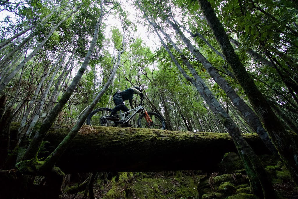 Sojourn Bicycles - Premium Mountain Bike Hire/Rental | 196 Strickland Ave, South Hobart TAS 7004, Australia | Phone: 0418 570 665