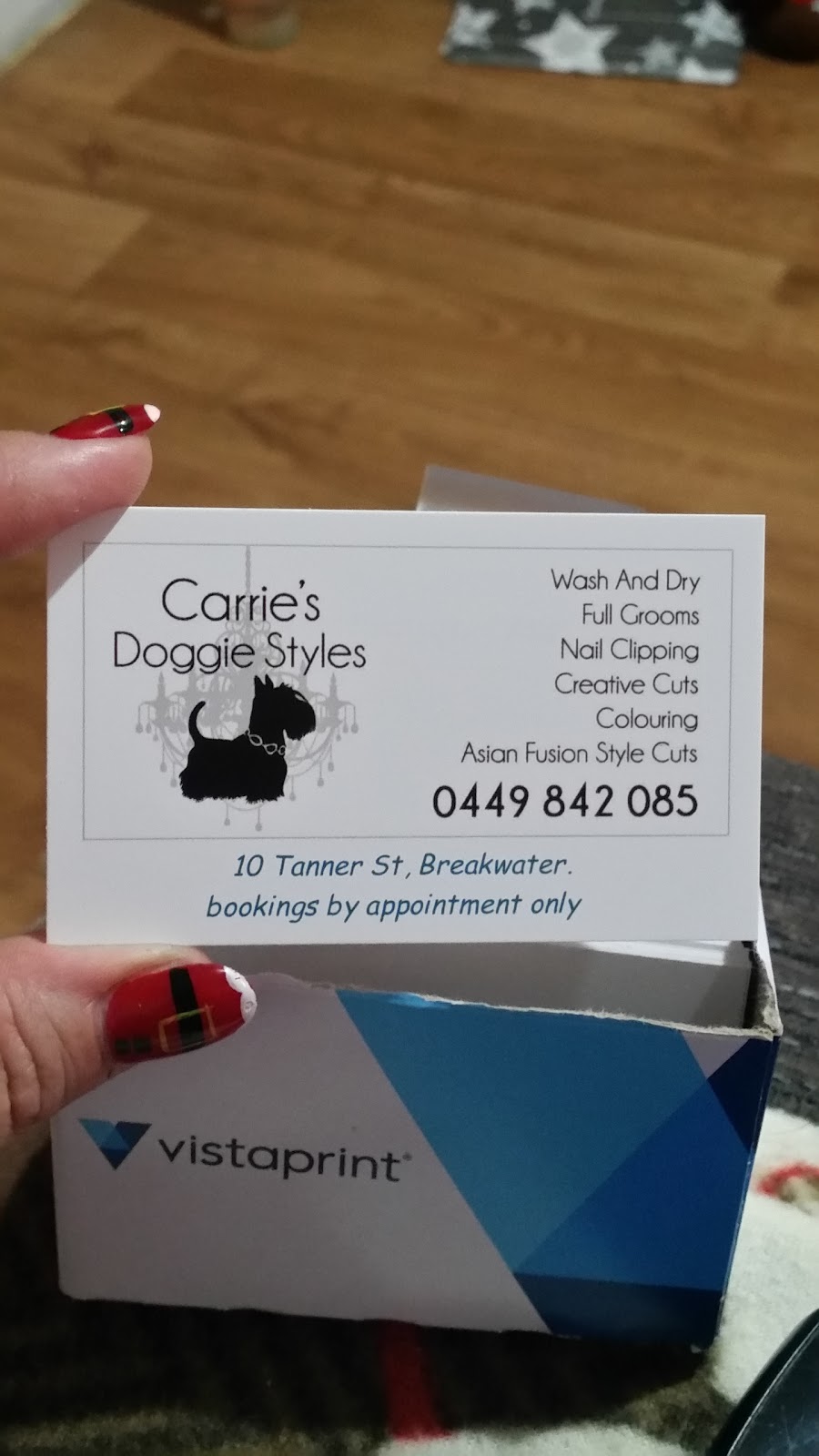 Carries Doggie Styles Grooming Salon |  | 10 Tanner St, Breakwater VIC 3219, Australia | 0449842085 OR +61 449 842 085
