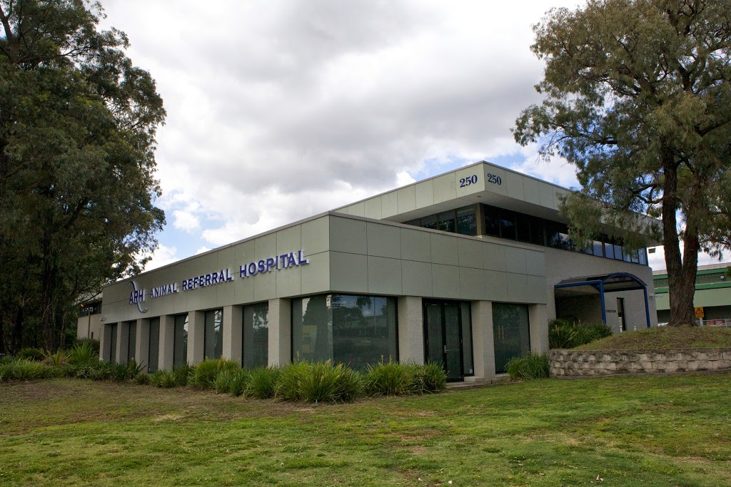 Animal Referral Hospital | veterinary care | 250 Parramatta Rd, Homebush NSW 2140, Australia | 0297588666 OR +61 2 9758 8666
