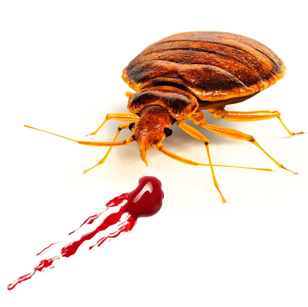 Bed Bug Control | 17/70-72 Captain Cook Dr, Caringbah NSW 2229, Australia | Phone: 1300 667 664
