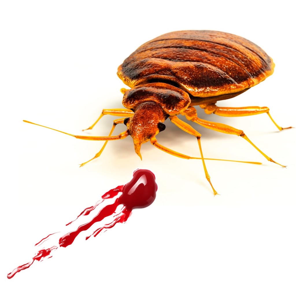 Bed Bug Control | home goods store | 17/70-72 Captain Cook Dr, Caringbah NSW 2229, Australia | 1300667664 OR +61 1300 667 664