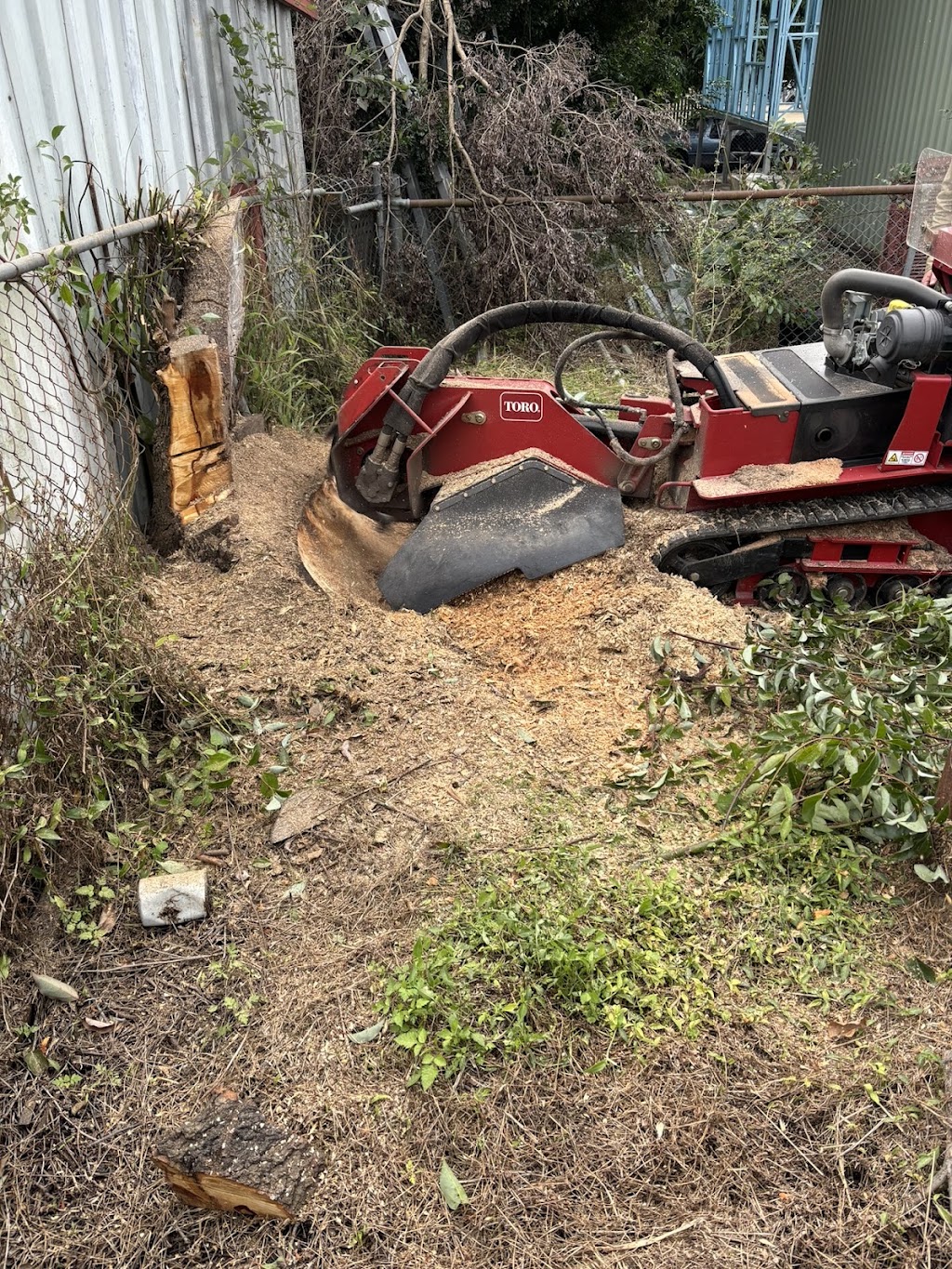 SR Stump Grinding | 46 Climax Ct, Witheren QLD 4275, Australia | Phone: 0492 070 597