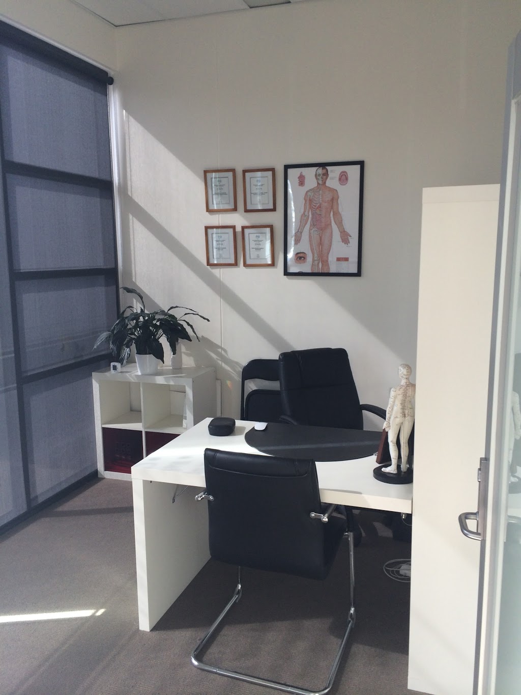 Chens Traditional Chinese Medicine Clinic | 3/88 Sydney Parade, Geelong VIC 3220, Australia | Phone: (03) 5222 2203