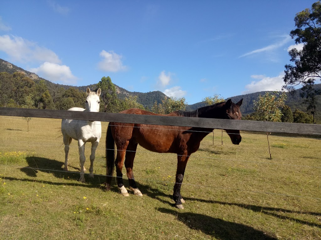 Brokenback Back Views Homestead | Lot 147/1620 Broke Rd, Pokolbin NSW 2320, Australia | Phone: (02) 8840 2852