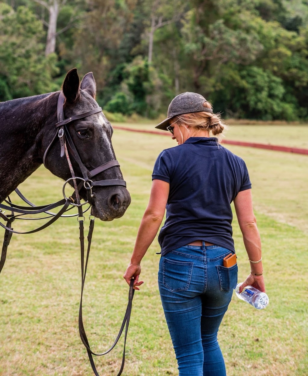 Watson Equine | 30 Doomben Ct, Beechmont QLD 4211, Australia | Phone: 0432 891 400