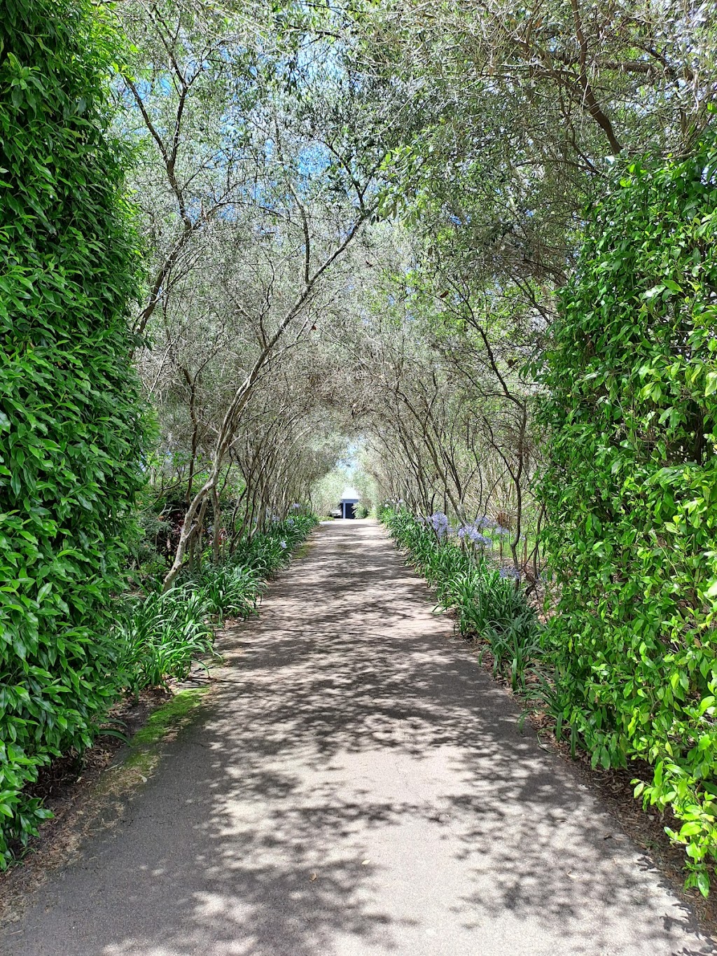 Budgewoi lawns(currently fully booked out) | Noella place, Budgewoi NSW 2262, Australia | Phone: 0458 806 285