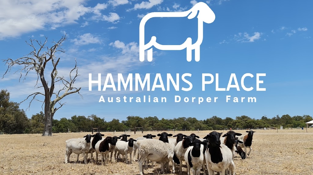 Hammans Place | food | Lot 20 S Western Hwy, Fairbridge WA 6208, Australia | 0401024562 OR +61 401 024 562