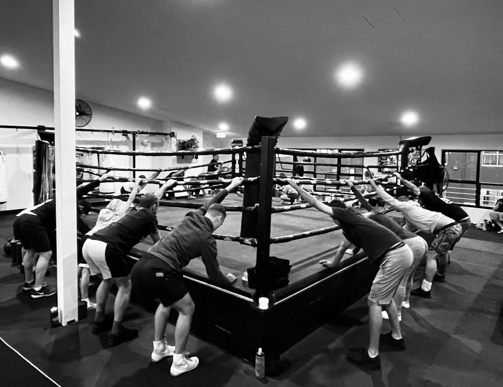 Sanctum Forge Boxing Gym | 6a/20 Kortum Dr, Burleigh Heads QLD 4220, Australia | Phone: 0404 726 530