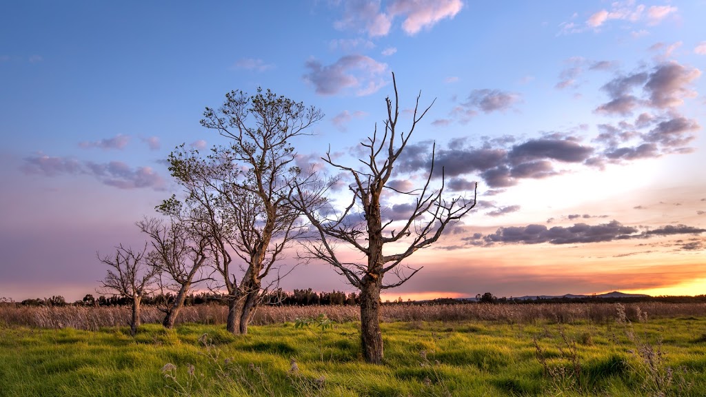 Stephanie Owen Photography | 3/90A Anderson Dr, Tarro NSW 2323, Australia | Phone: 0404 199 147