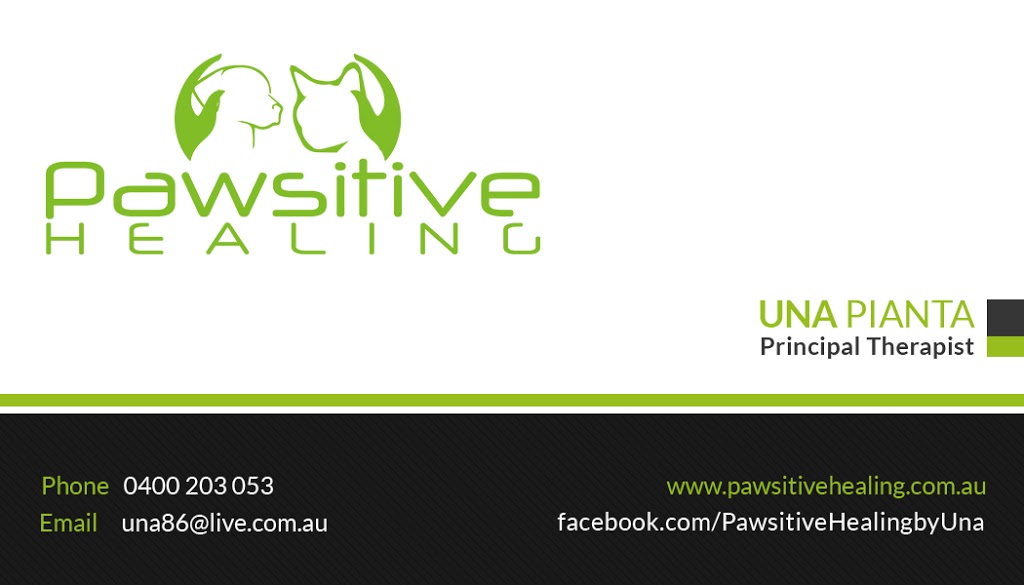 Pawsitive Healing | 2 Scullys Ln, Heathcote VIC 3523, Australia | Phone: 0400 203 053