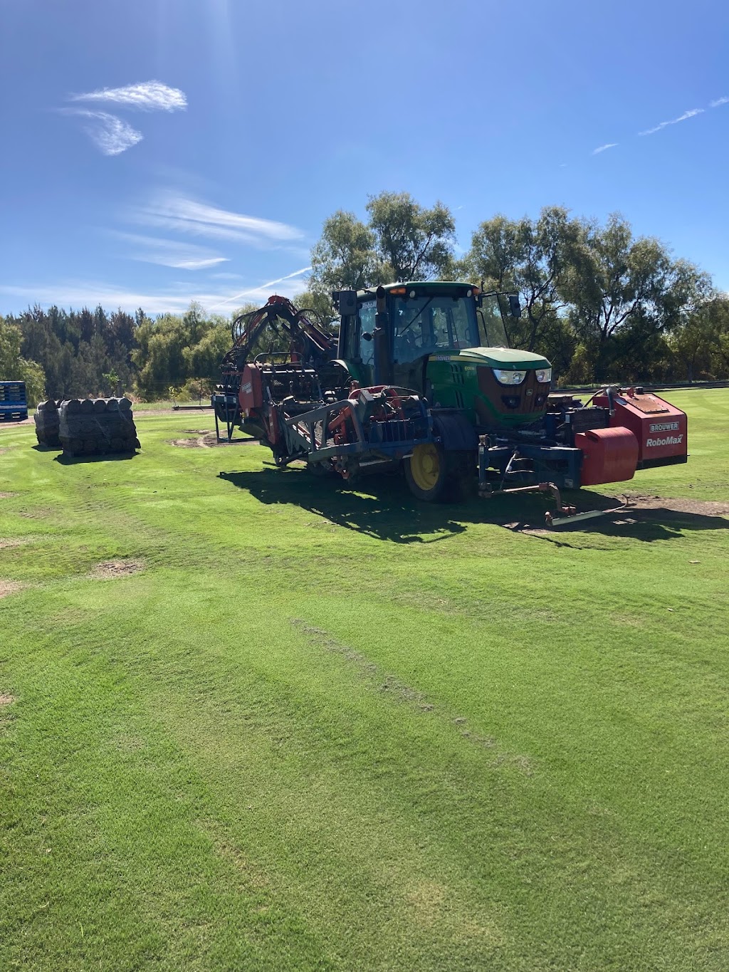 Coolong Farm | 500 Bureen Rd, Bureen NSW 2328, Australia | Phone: 0416 144 703
