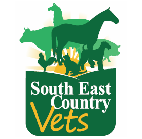 South East Country Vets - Crows Nest | veterinary care | 16 William St, Crows Nest QLD 4355, Australia | 0746982520 OR +61 7 4698 2520
