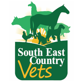 South East Country Vets - Crows Nest | 16 William St, Crows Nest QLD 4355, Australia | Phone: (07) 4698 2520