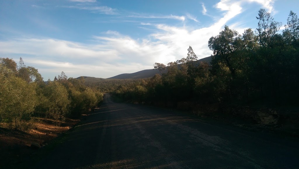 Lachlan Range State Forest | park | Unnamed Road, Rankins Springs NSW 2669, Australia | 0298720111 OR +61 2 9872 0111