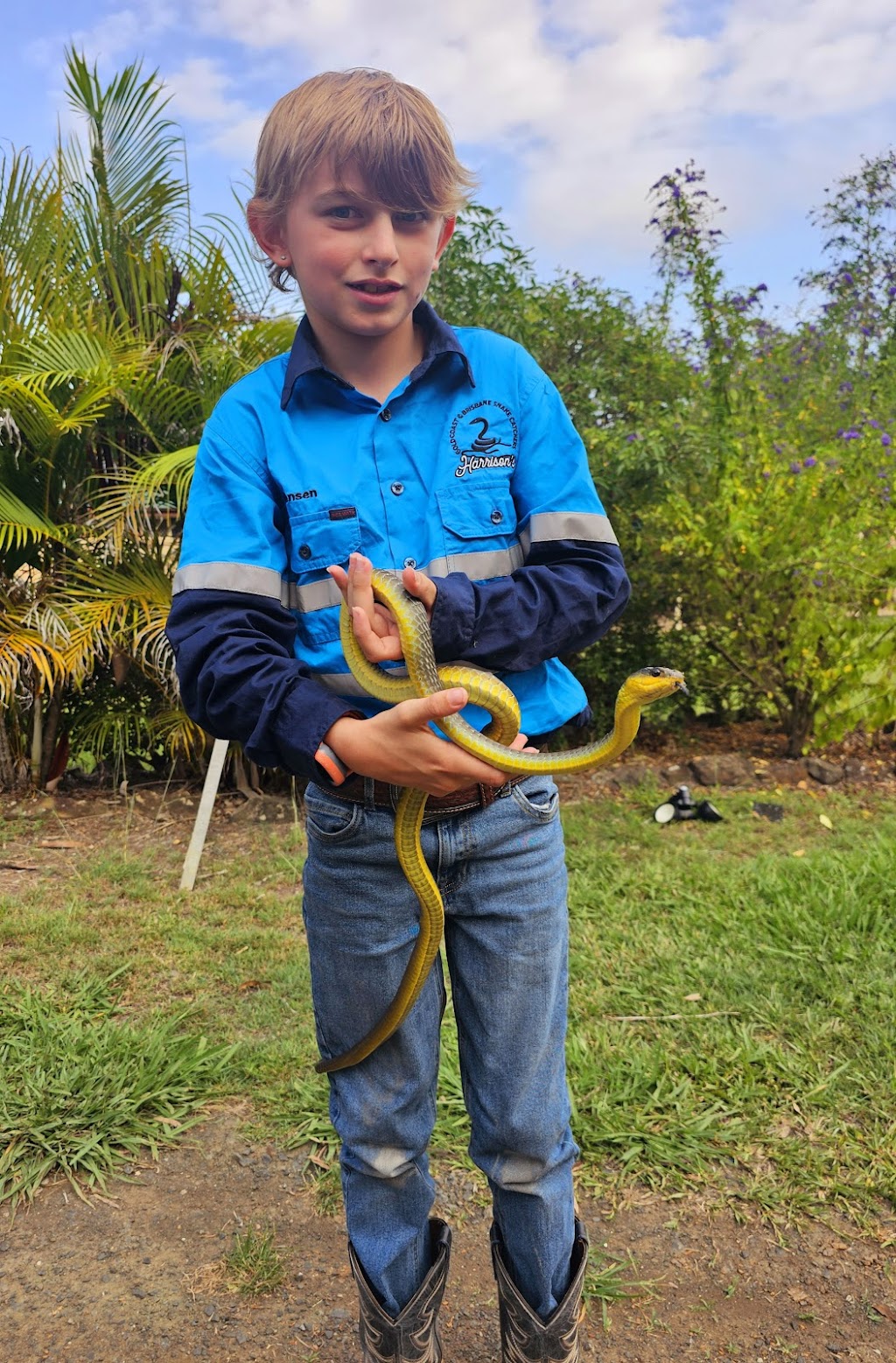 Harrisons Snake Catcher Logan | 312 Steele Rd, Logan Village QLD 4207, Australia | Phone: 0401 263 296 Harrisons Snake Catcher Logan | 312 Steele Rd, Logan Village QLD 4207, Australia | Phone: 0401 263 296