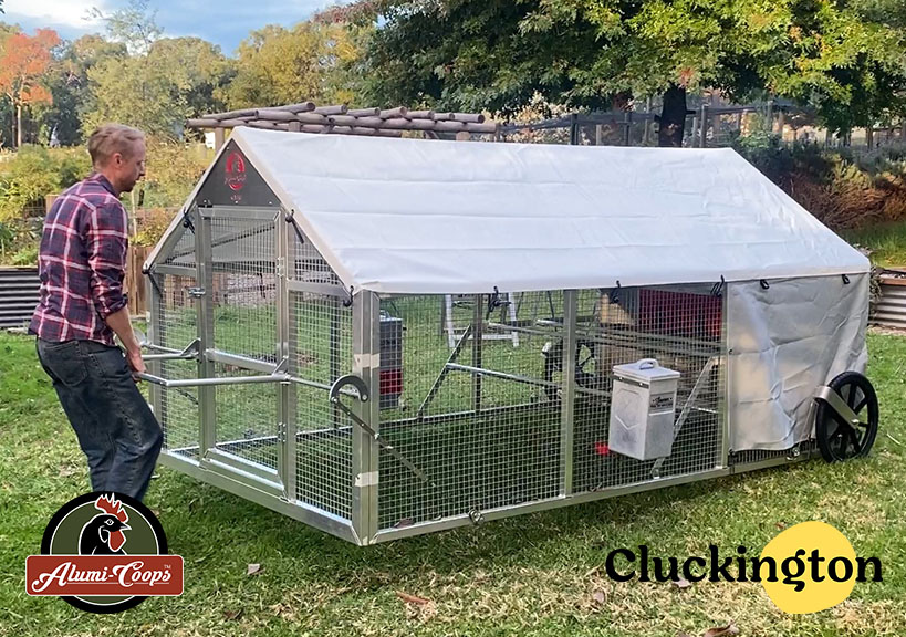 Cluckington | 396 Tschampions Rd, Macclesfield VIC 3782, Australia | Phone: 0414 868 655