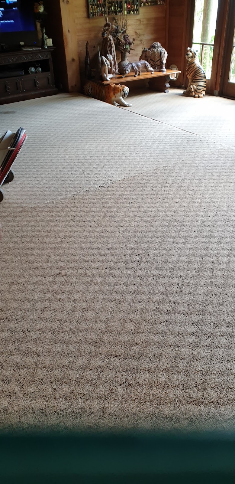 Dynamic Carpet Cleaners | 66 Coomera Gorge Dr, Tamborine Mountain QLD 4272, Australia | Phone: 0408 061 282