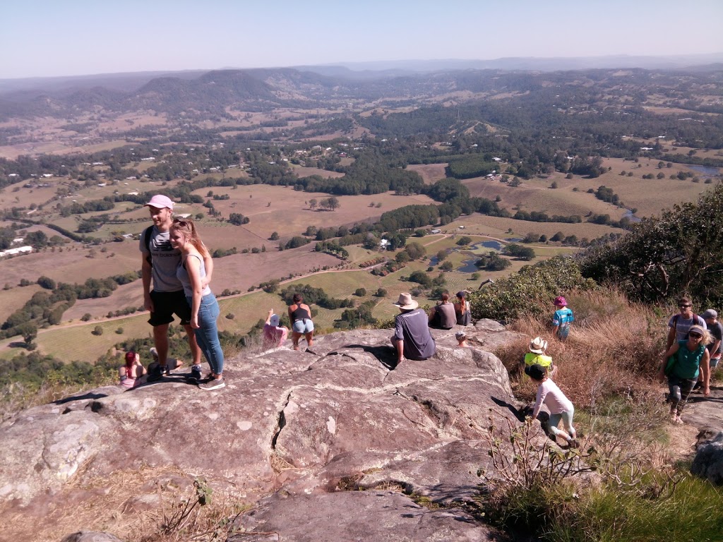 Mount Cooroy Conservation Park | Cooroy Mountain QLD 4563, Australia