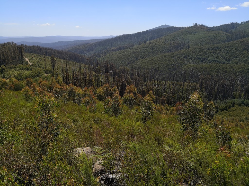 Tarago State Forest |  | Gentle Annie VIC 3833, Australia | 136186 OR +61 136186