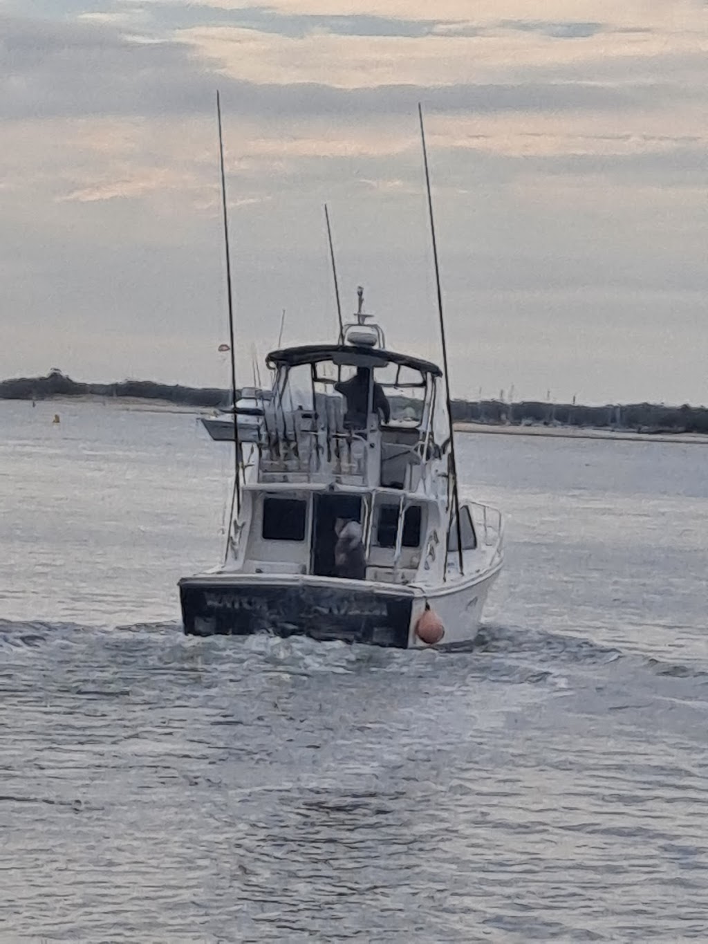 Sea Probe Fishing Charters | Muriel Henchman Dr, Main Beach QLD 4217, Australia | Phone: 0400 312 330