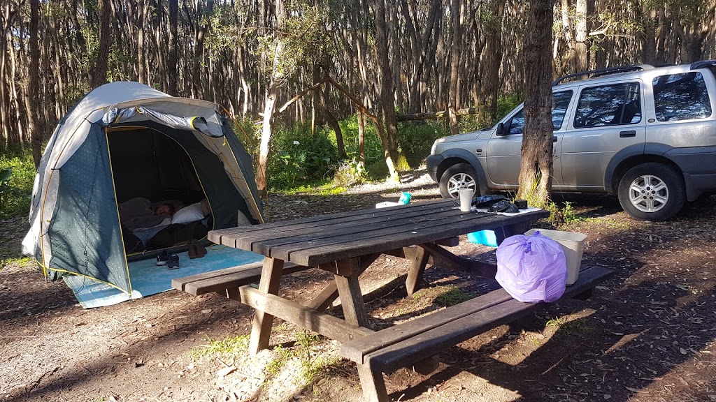 Boranup campground | campground | Boranup WA 6286, Australia