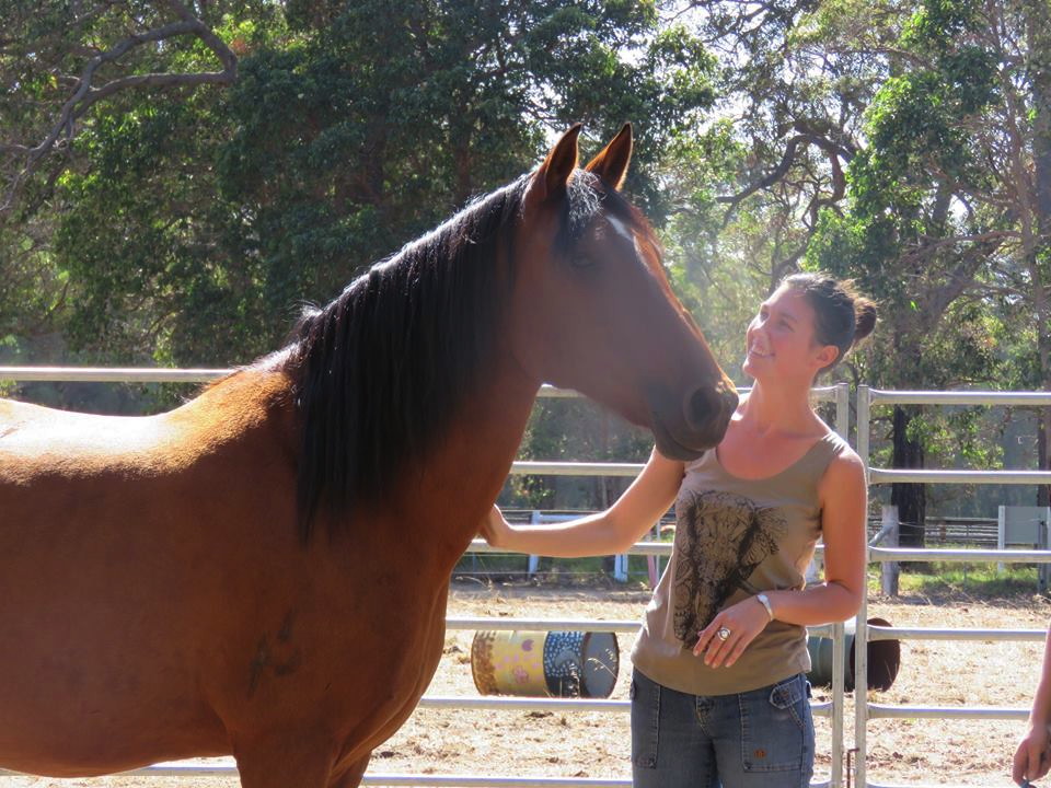 Horse Vision Centre | cnr Boallia Rd &, Rendezvous Rd, Vasse WA 6280, Australia | Phone: 0431 627 186