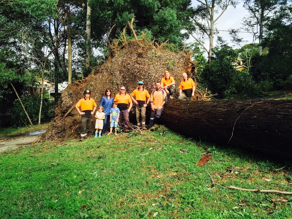 All Area Tree Service Pty Ltd | 21 Fountain Rd, Fountaindale NSW 2258, Australia | Phone: 0450 002 282