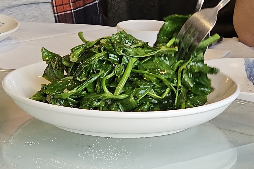Yummy Duck Chinese Restaurant | 123-125 James St, Templestowe VIC 3106, Australia | Phone: (03) 9846 3838