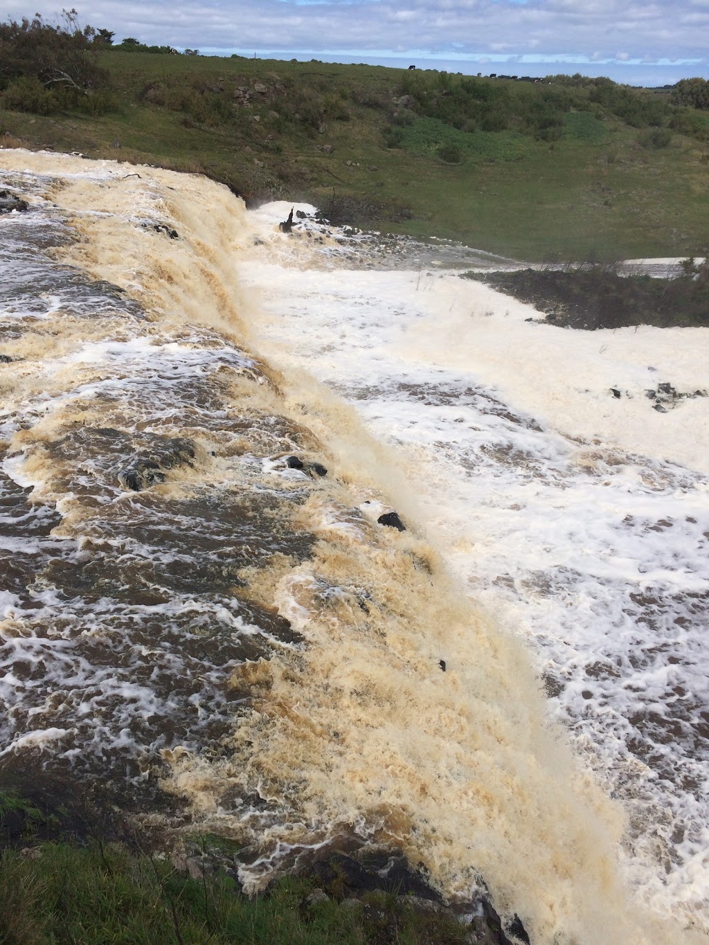 Hopkins Falls Scenic Reserve | Hopkins Falls Rd, Cudgee VIC 3265, Australia | Phone: 13 19 63