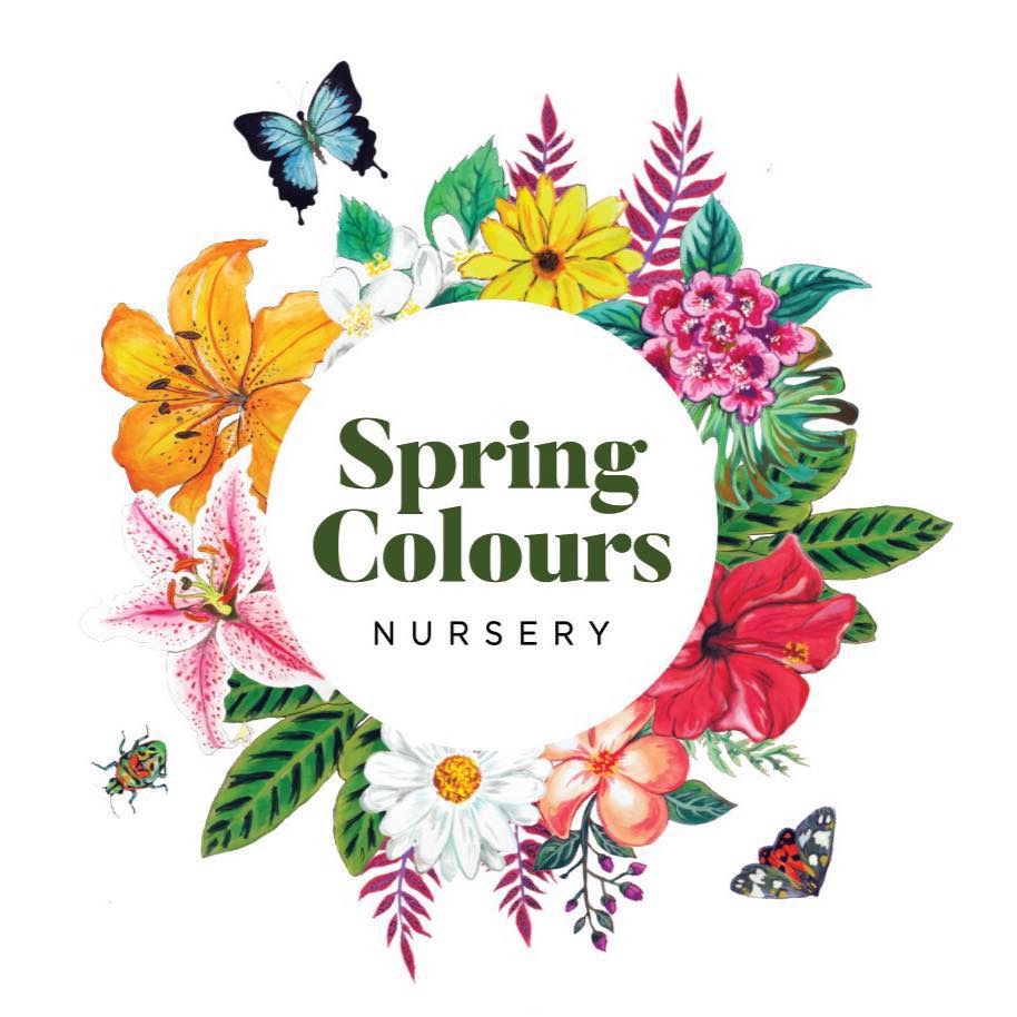 Spring Colours Nursery | florist | 249 New Line Rd, Dural NSW 2158, Australia | 0294451050 OR +61 2 9445 1050