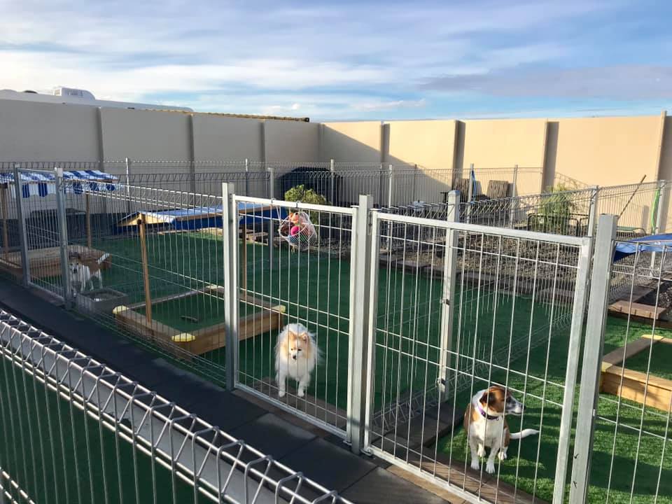 View Bank Cattery and Kennels | veterinary care | 825 White Hills Rd, Evandale TAS 7212, Australia | 0363918241 OR +61 3 6391 8241