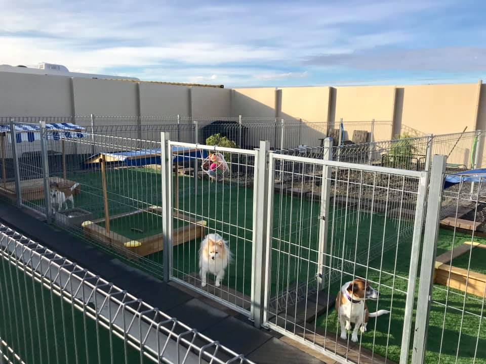 View Bank Cattery and Kennels | 825 White Hills Rd, Evandale TAS 7212, Australia | Phone: (03) 6391 8241