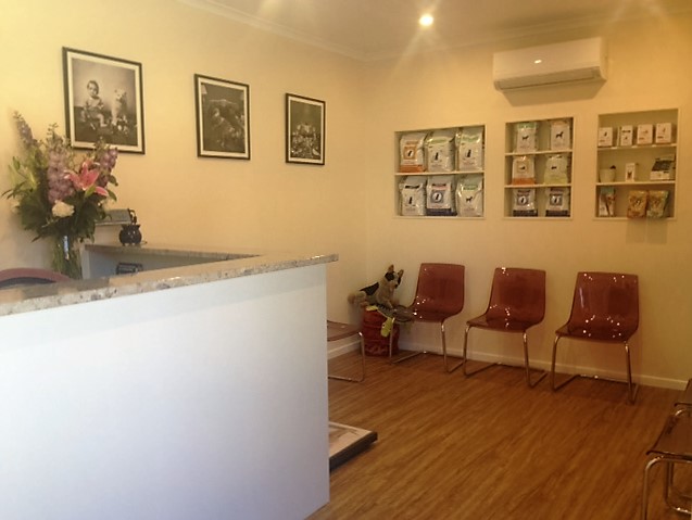 The Vet Clinic | veterinary care | 24 Murray St, Angaston SA 5353, Australia | 0885643488 OR +61 8 8564 3488