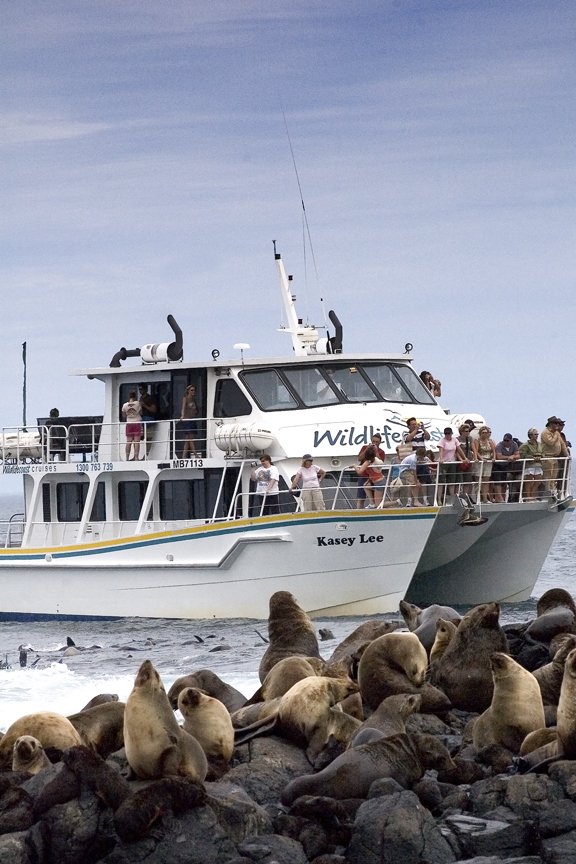 Wildlife Coast Cruises | travel agency | 11 The Esplanade, Cowes VIC 3922, Australia | 0359523501 OR +61 3 5952 3501