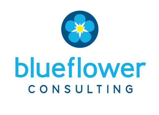 Blueflower Consulting | 79 King St, Woody Point QLD 4019, Australia | Phone: 0407131351