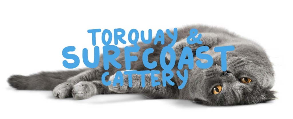 Torquay & Surfcoast Cattery | veterinary care | 285 Grossmans Rd, Torquay VIC 3228, Australia | 0408519175 OR +61 408 519 175