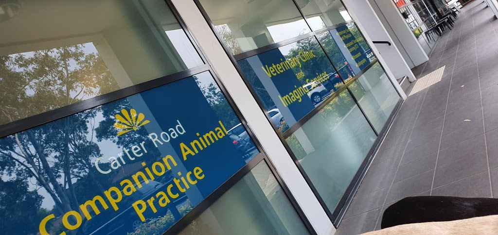 Carter Road Companion Animal Practice | veterinary care | 5/21 Carter Rd, Menai NSW 2234, Australia | 0295436912 OR +61 2 9543 6912