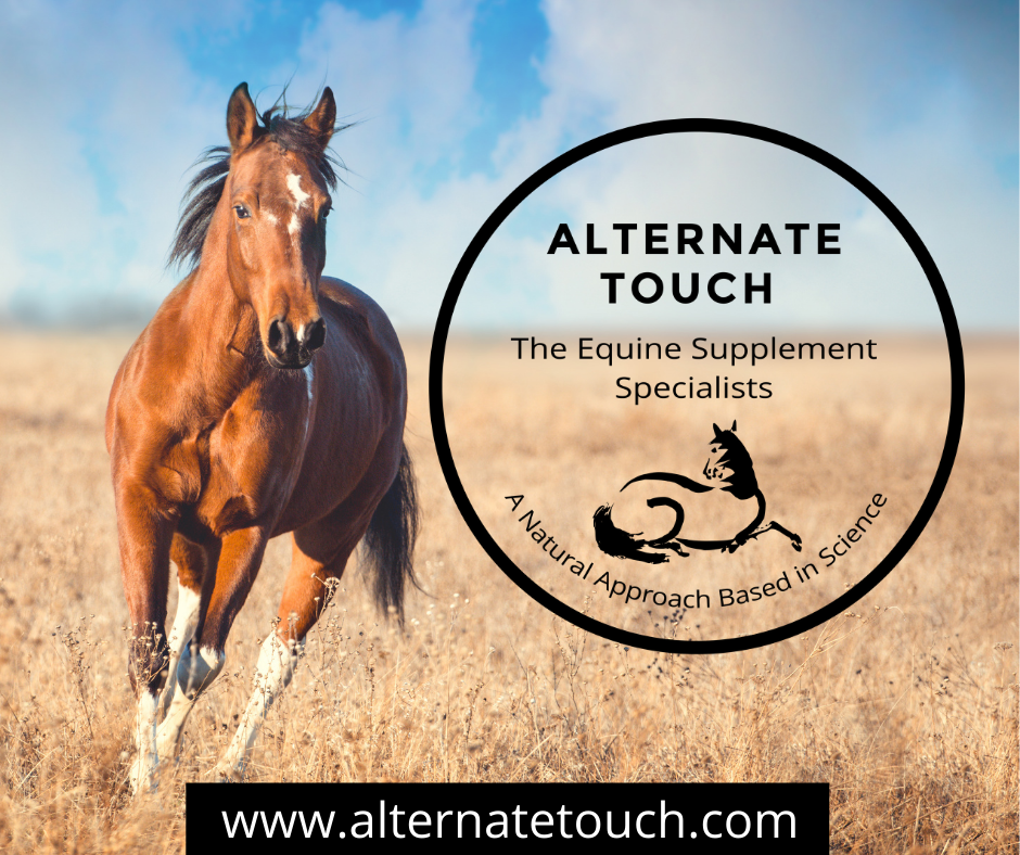 Alternate Touch Equine Supplement Specialists | 90 Lakelands Rd, Barragup WA 6209, Australia | Phone: 0457 169 536