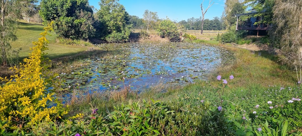 Lilypad Stay | 950 Rodeo Dr, Tewinga NSW 2449, Australia | Phone: 0414 475 085