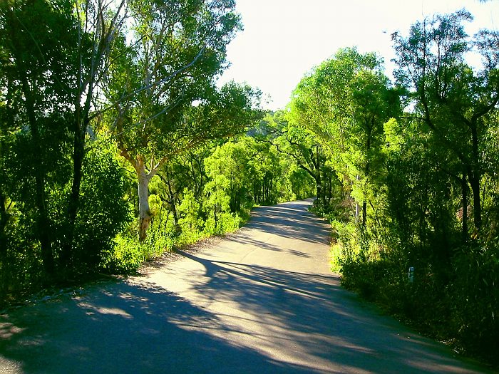 Jellybean track | park | Bruce Rd, Glenbrook NSW 2773, Australia | 0245882400 OR +61 2 4588 2400