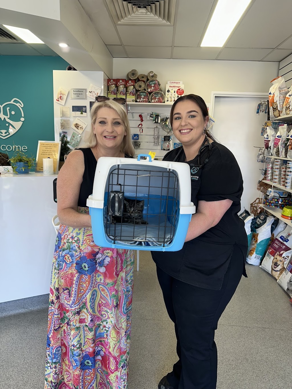 Illawarra Cat Rescue Limited | Unit 2/101 Esperance Dr, Albion Park NSW 2527, Australia | Phone: 0402 390 750