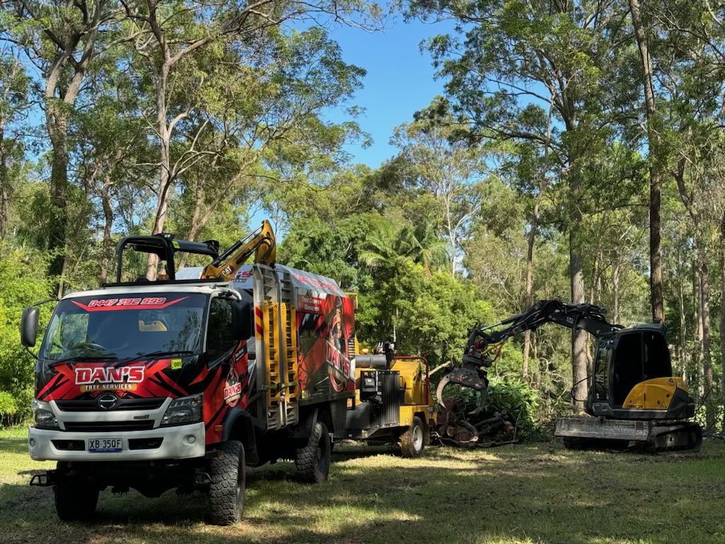 Dans Tree Services | 62 The Oval Dr, Mount Nathan QLD 4211, Australia | Phone: 0447 792 999