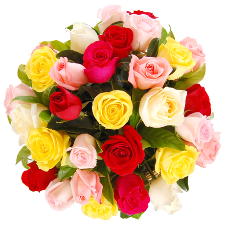 Tuggerah Beautiful Flowers | 360 Pacific Hwy, Kangy Angy NSW 2258, Australia | Phone: (02) 4353 0831