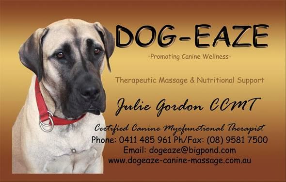 Dogeaze Pet Photography | Lymon Rd, Mandurah WA 6210, Australia | Phone: 0411 485 961