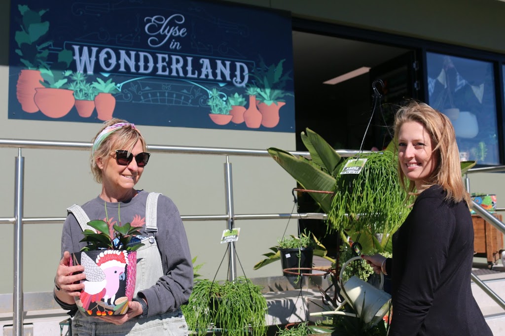 Elyse In Wonderland | store | Shop 1/56 Araluen Drive Hardys Bay, Killcare NSW 2257, Australia | 0407500909 OR +61 407 500 909