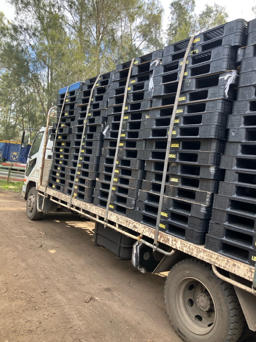 Edwards Pallet Recyclers | 221 Deepfields Rd, Catherine Field NSW 2557, Australia | Phone: 0429 121 494
